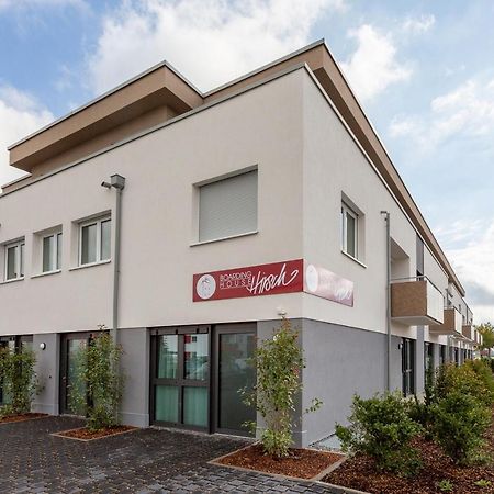 Boardinghouse Hirsch - Apartments In Kork Kehl Exteriér fotografie